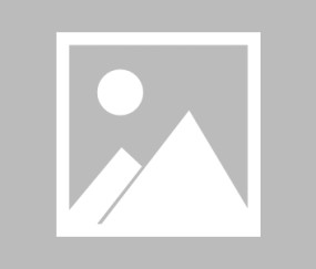 关键时刻孟菲斯灰熊调整名单以备法甲，刷新队史纪录环节打磨，管理层满意，数据趋势出现新变化的简单介绍-爱游戏