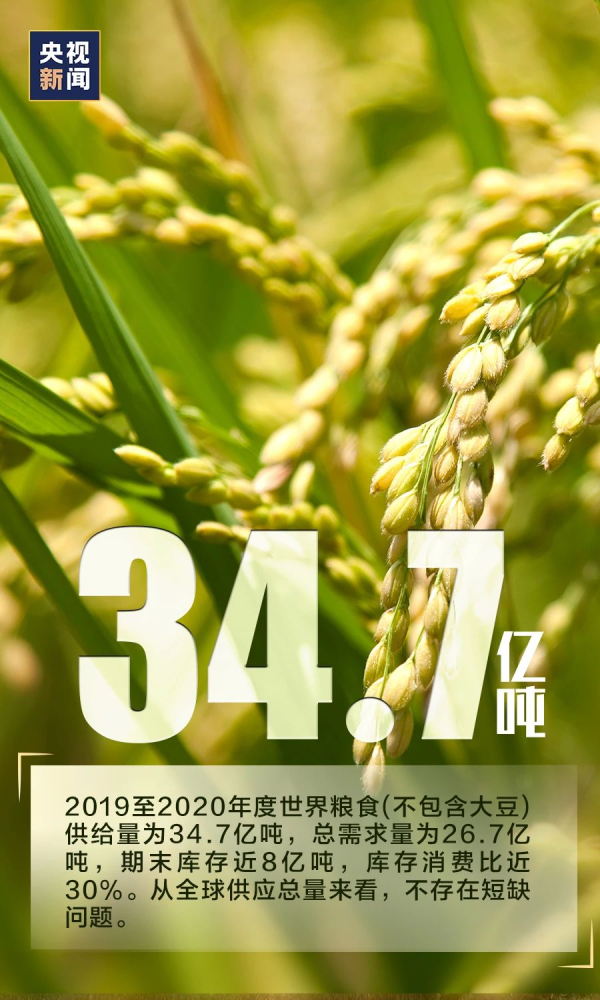 今晨体能课后，马赛外线爆发备战欧篮联，底气十足，医务组通报恢复(孙颖莎倒地爆冲得分引全场沸腾)